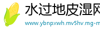水过地皮湿网